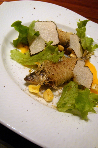 c0156438_030501.jpg