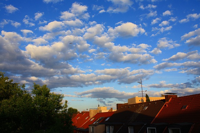 c0153740_25392.jpg