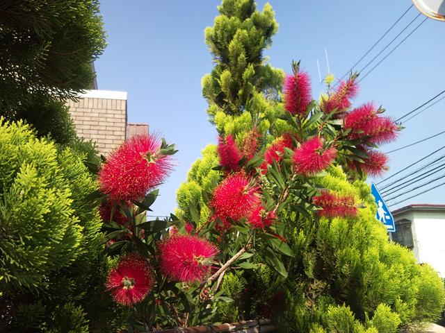e0150843_17463992.jpg