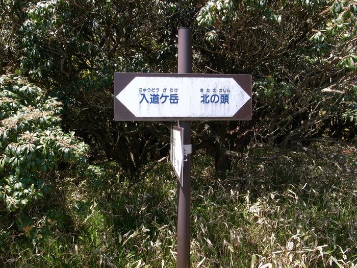 a0093446_21122185.jpg