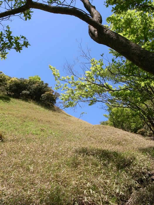 a0093446_2183659.jpg