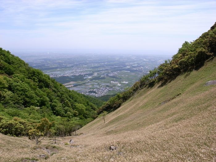 a0093446_2185024.jpg