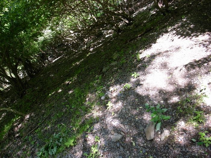 a0093446_218642.jpg