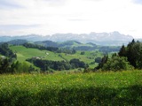 d0016750_5542687.jpg