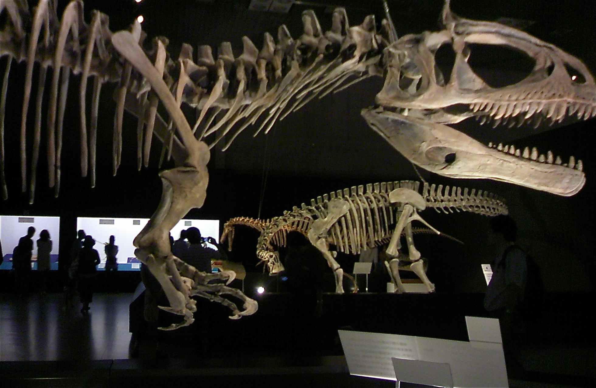 a0119252_2228862.jpg