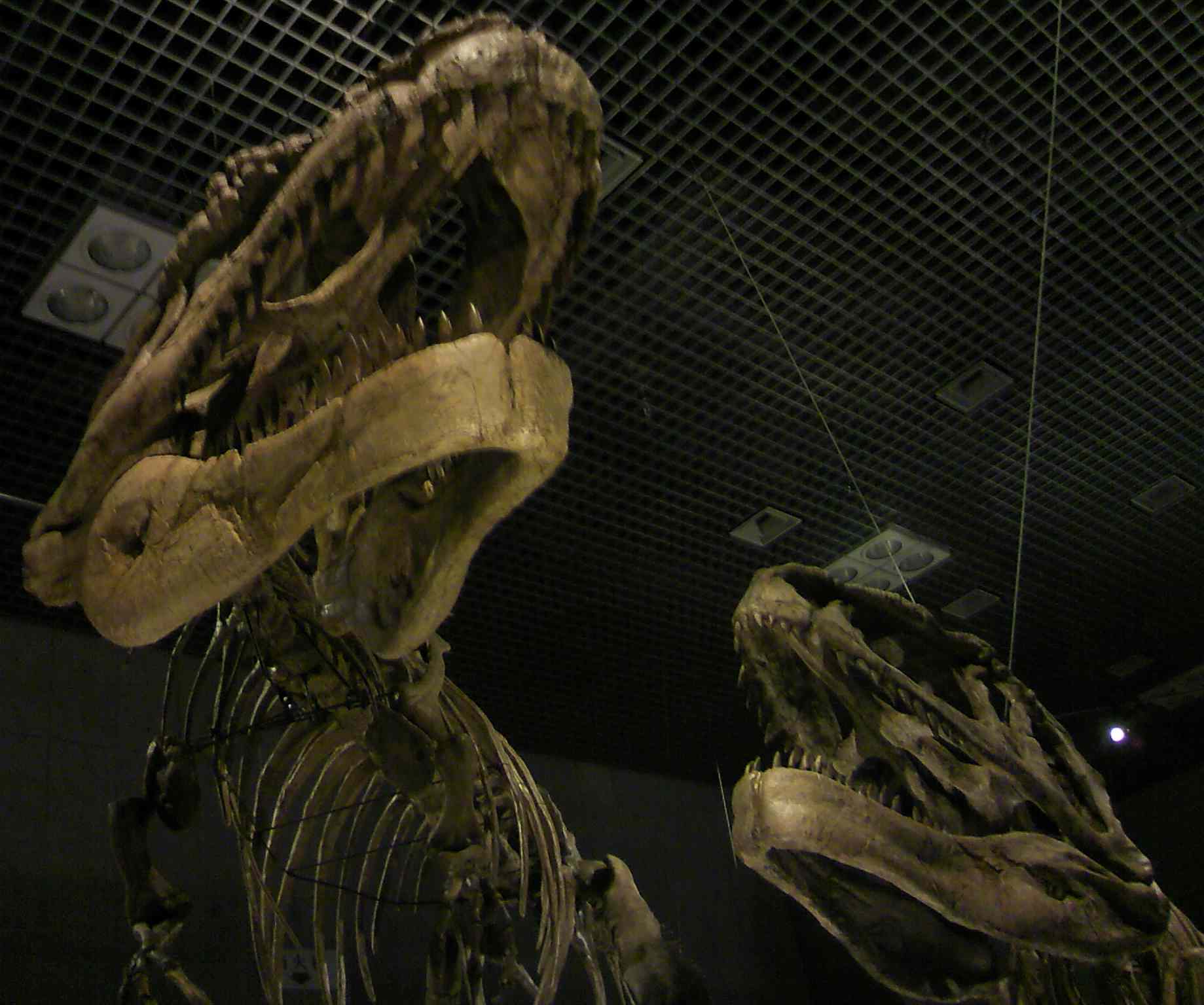 a0119252_2233161.jpg