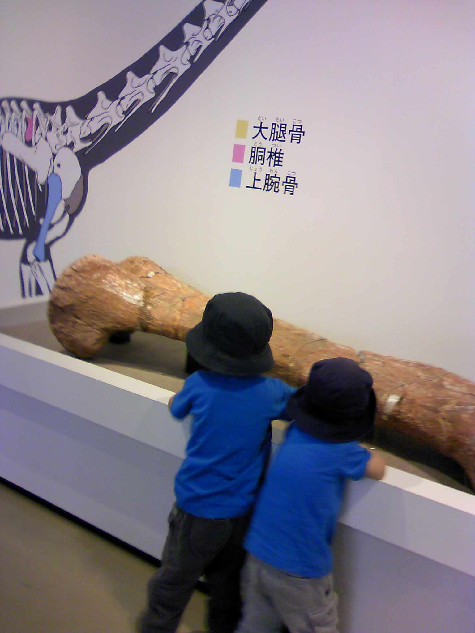 a0119252_2326433.jpg