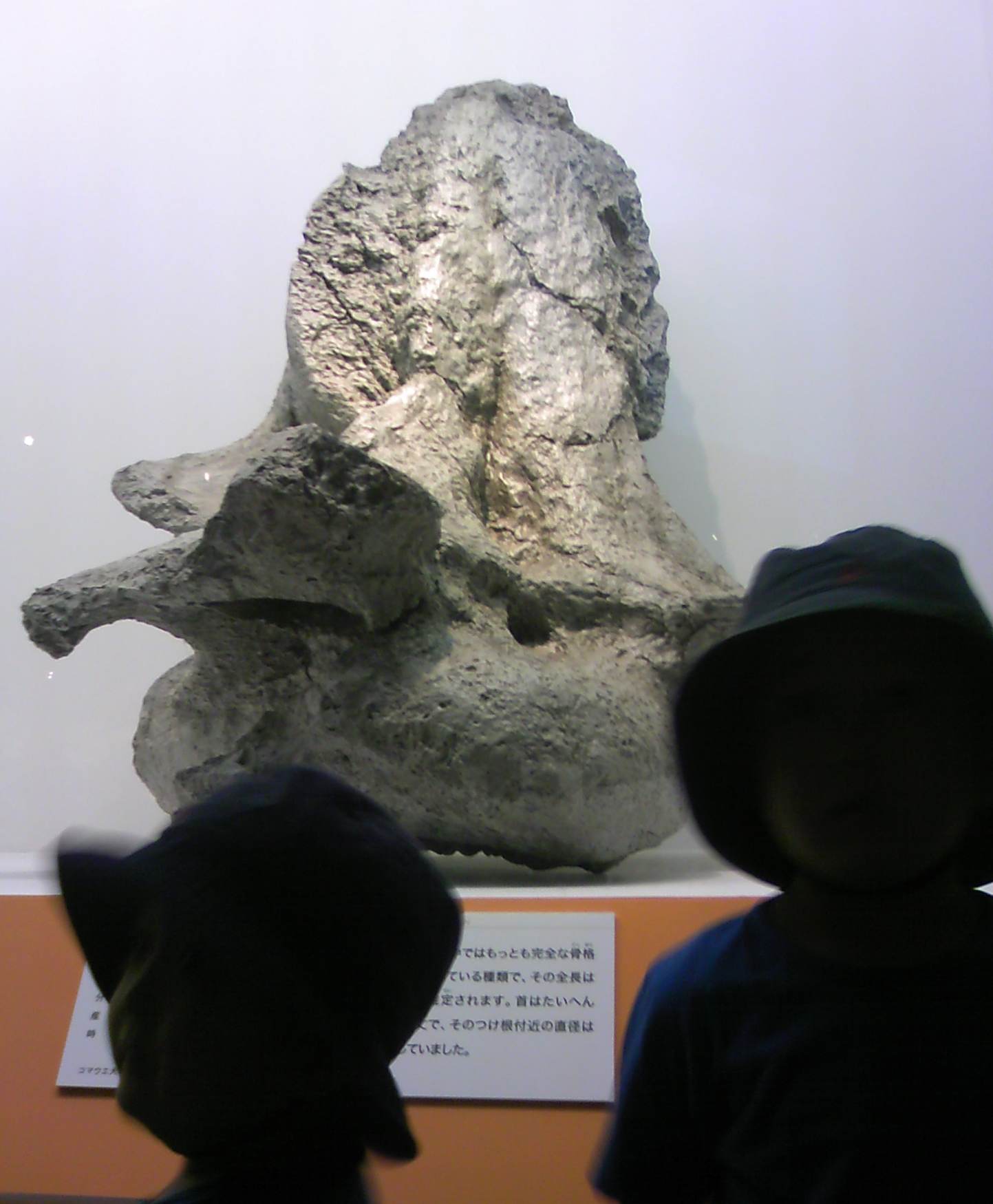 a0119252_2326891.jpg