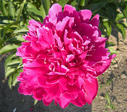 a0001354_22502554.jpg