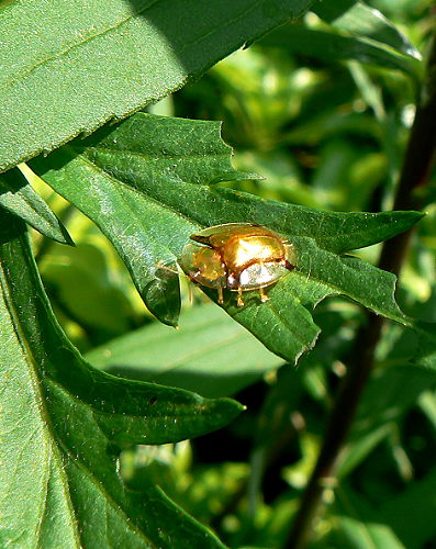 d0091754_18585339.jpg