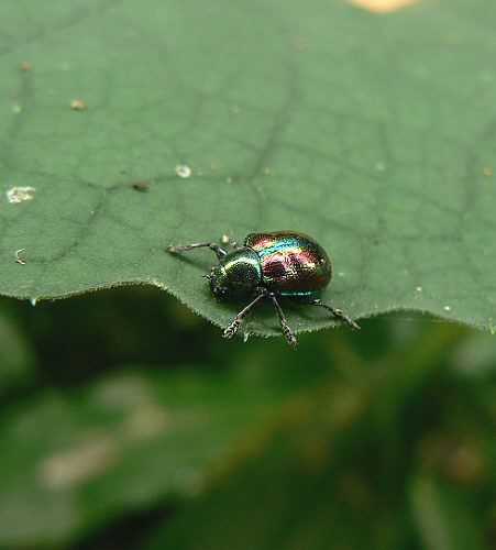 d0091754_19503032.jpg