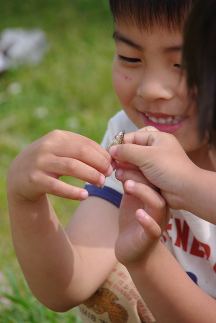 d0141161_8274942.jpg