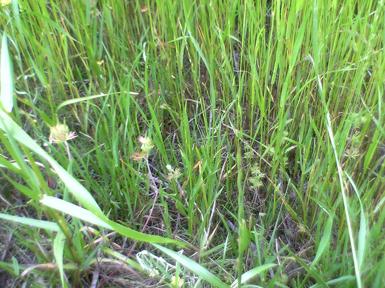 b0139862_2235358.jpg