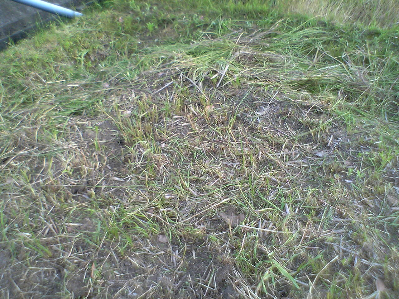 b0139862_22365883.jpg