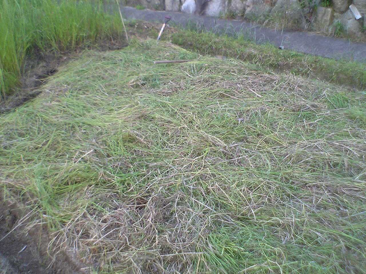 b0139862_2312168.jpg