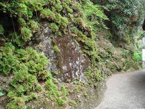 c0148762_2017349.jpg