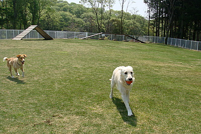 b0131364_1954032.jpg