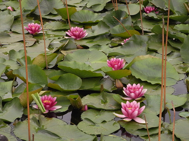 c0158464_031499.jpg