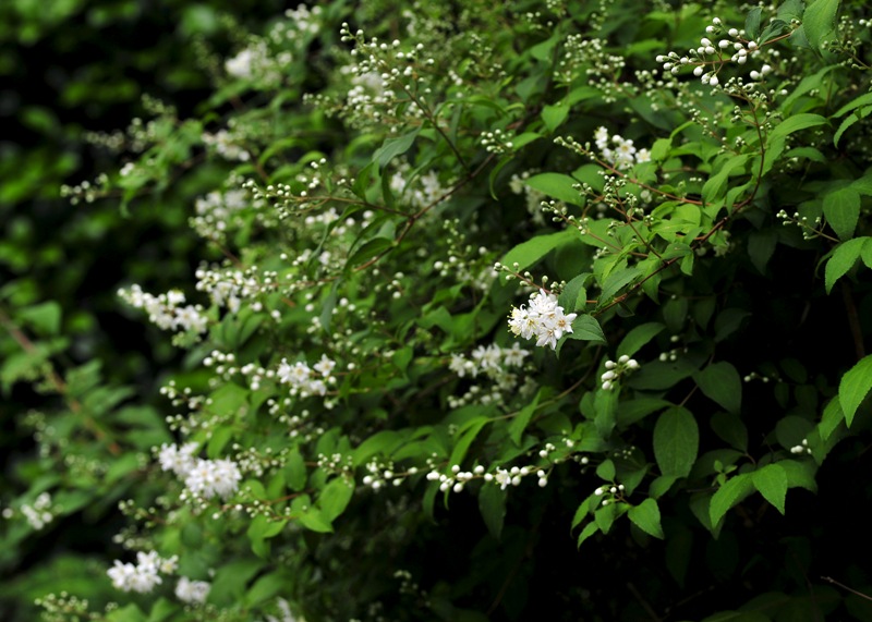 b0131167_2323081.jpg