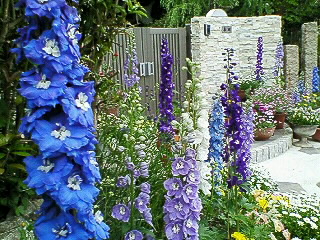 f0061067_010319.jpg