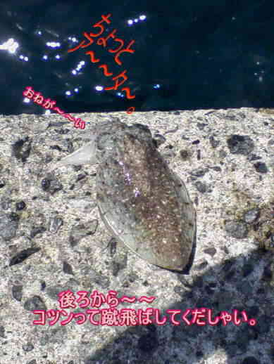 c0169168_1137154.jpg