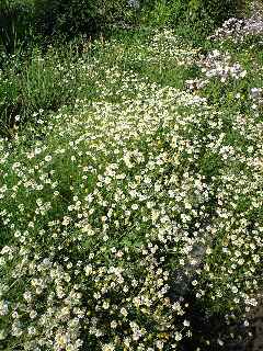 d0109373_22402355.jpg
