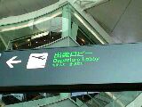 f0061674_1416642.jpg
