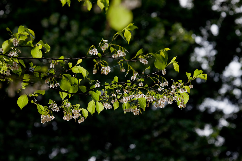 a0083081_1727563.jpg