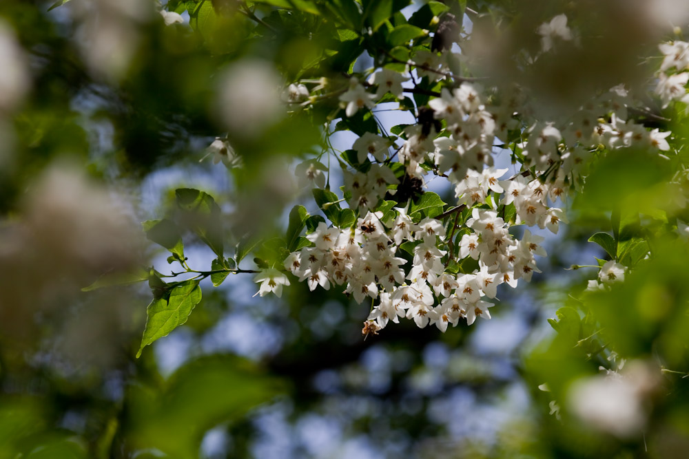 a0083081_17282043.jpg