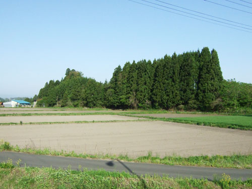 c0195281_17263469.jpg