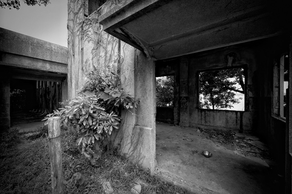 d0089281_0592664.jpg