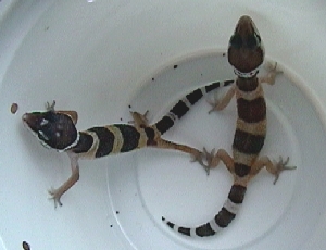 e0018082_21364990.jpg