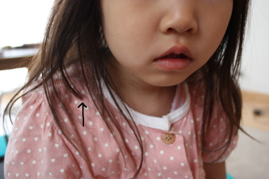 c0118387_1131653.jpg