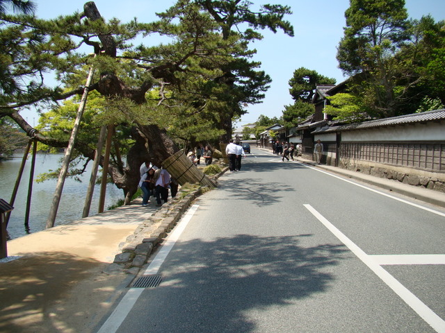 b0006289_0562088.jpg