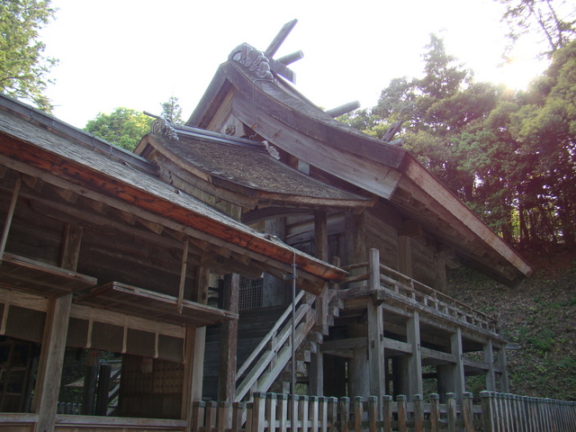 b0006289_17538.jpg