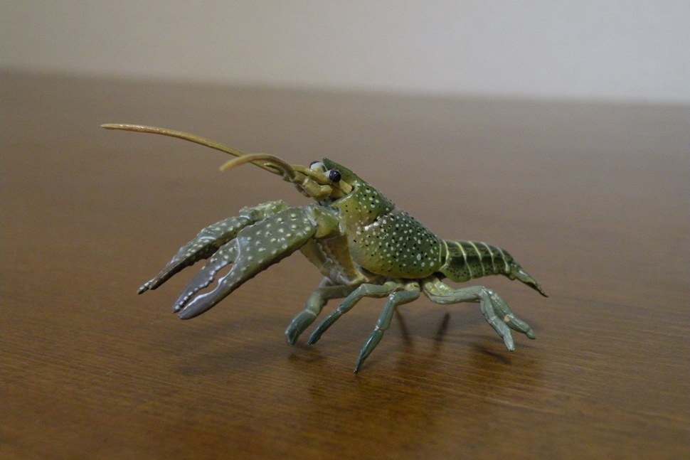 c0190594_2011080.jpg