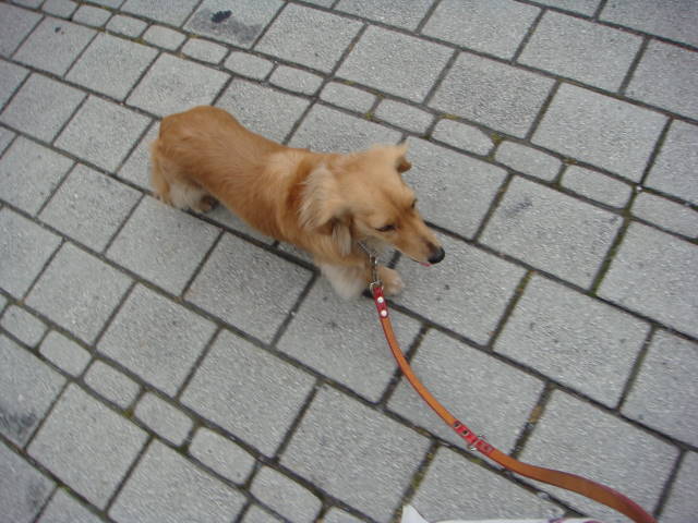 d0098295_0175889.jpg