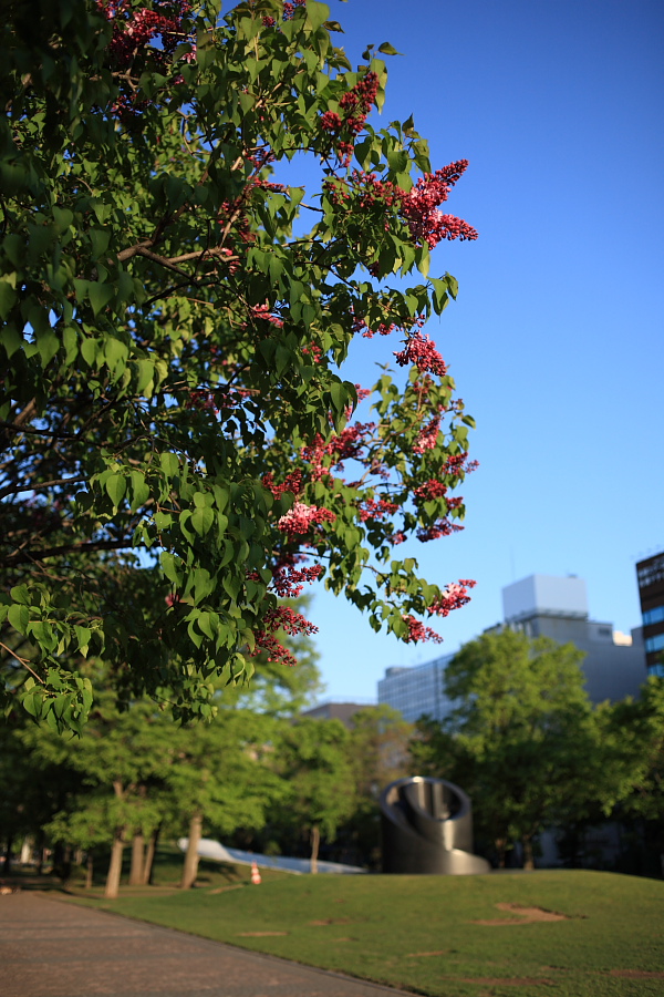 b0167798_4142829.jpg