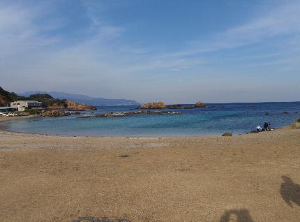 e0077899_7352518.jpg