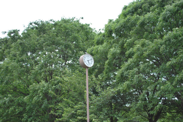 b0136300_21292280.jpg
