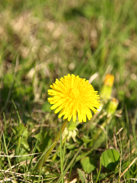 d0140300_8372997.jpg