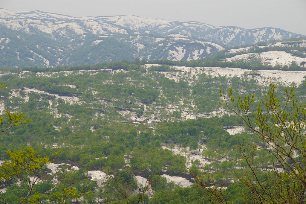 b0050305_2022477.jpg