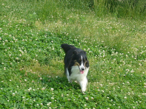 e0130008_2117494.jpg