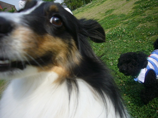 e0130008_21191392.jpg