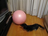 b0184211_166435.jpg