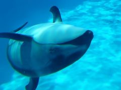 f0201214_2271989.jpg
