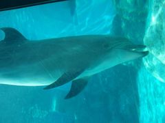 f0201214_2273119.jpg