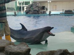 f0201214_2275733.jpg