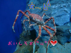 f0201214_227966.jpg