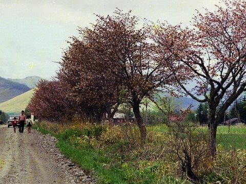 e0062415_17212755.jpg